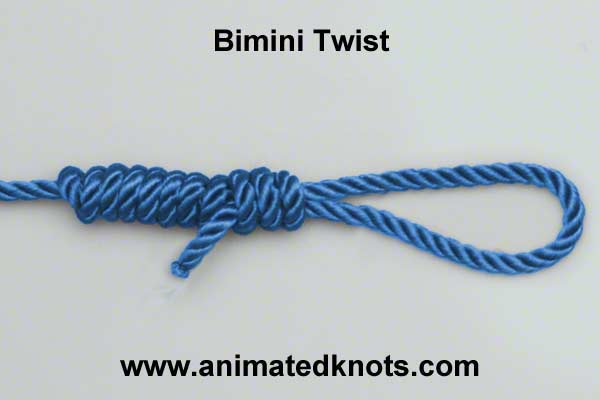 Bimini Twist