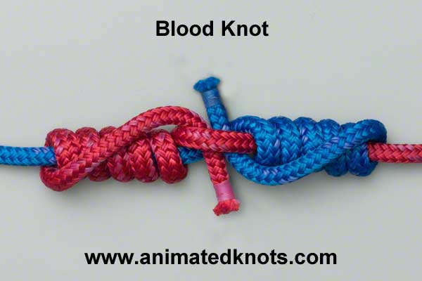 Line-to-Line Knots BLOOD KNOT braided, monofilament, core fly