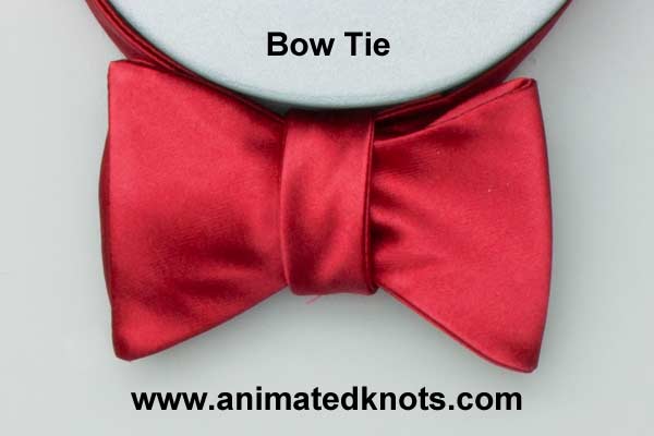 Animation: Bow Tie Knot Tying (Household)