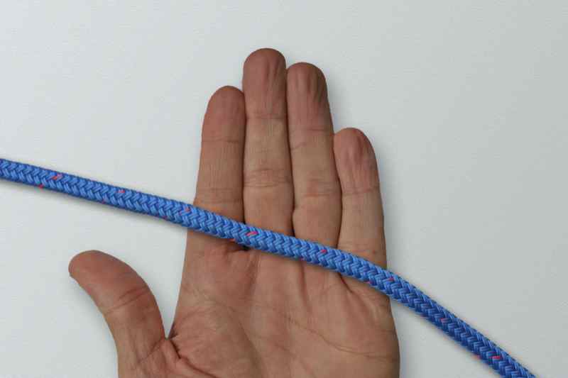 The Knot