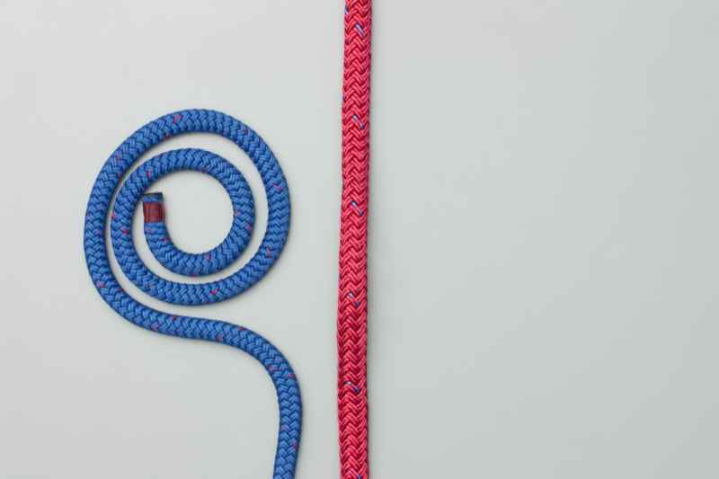 The Knot