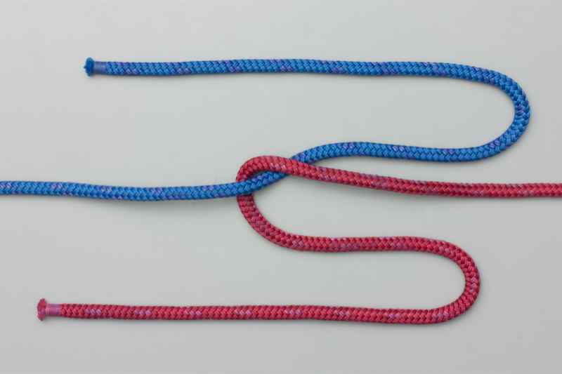 The Knot