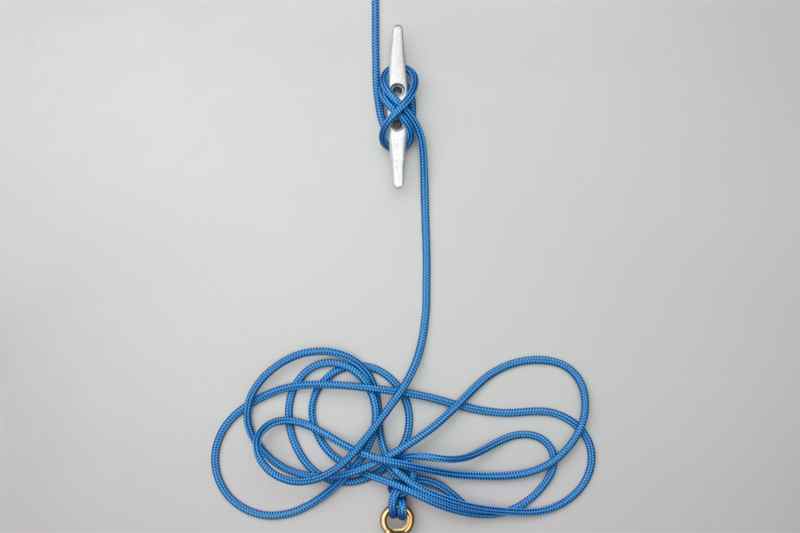 The Knot