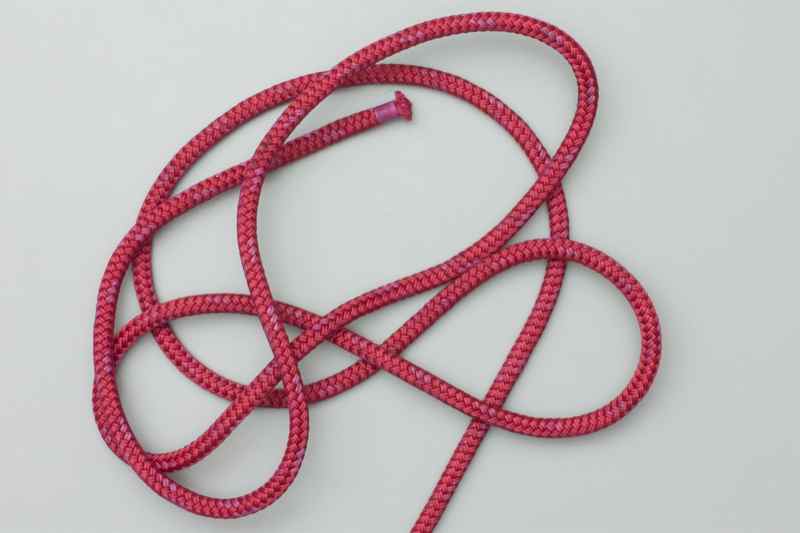 The Knot