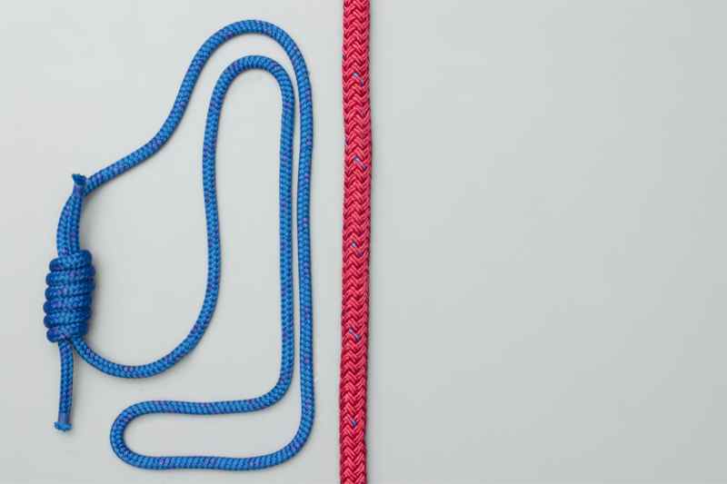 The Knot
