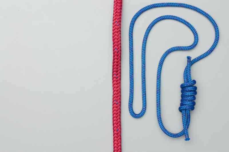 The Knot
