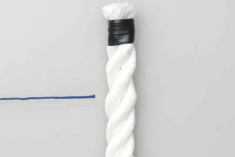 The Knot