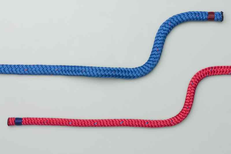 The Knot