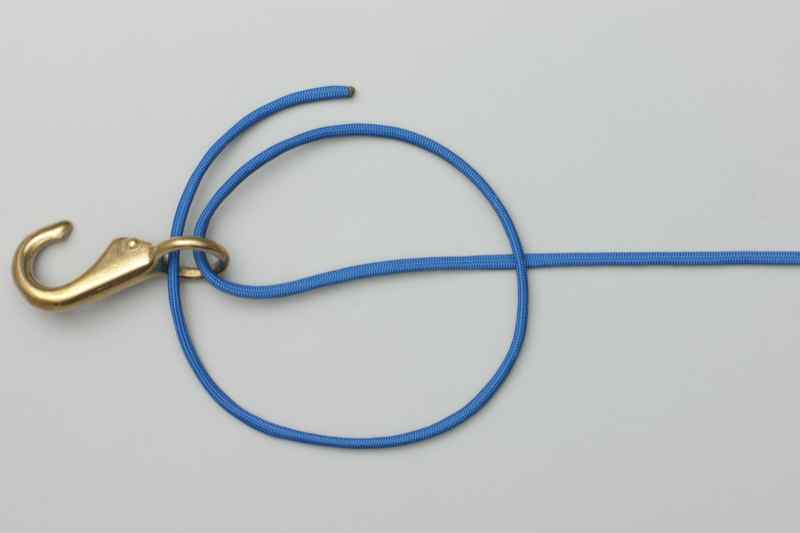 The Knot