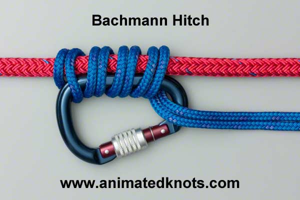 Pictures of The Bachmann Knot