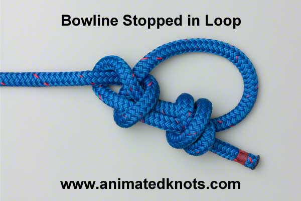 Pictures of Bowline with Stopper in Loop