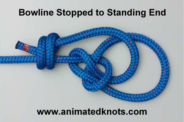 Pictures of Bowline with Stopper to Line