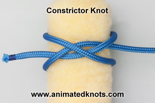 Pictures of Constrictor Knot