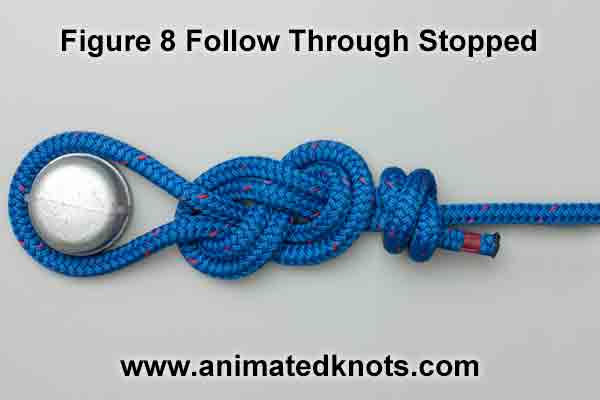 Figure 8 Follow Through Loop, How to tie a Figure 8 Follow Through Loop  using Step-by-Step Animations