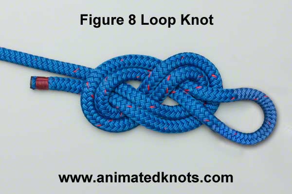 Pictures of Figure 8 Loop Knot