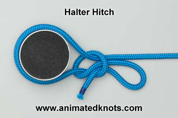 Pictures of Halter Hitch