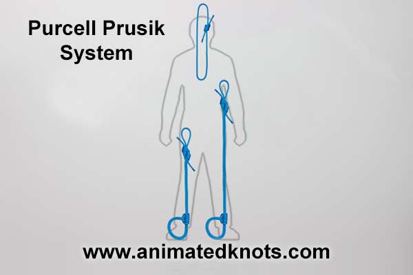 Pictures of Purcell Prusik System
