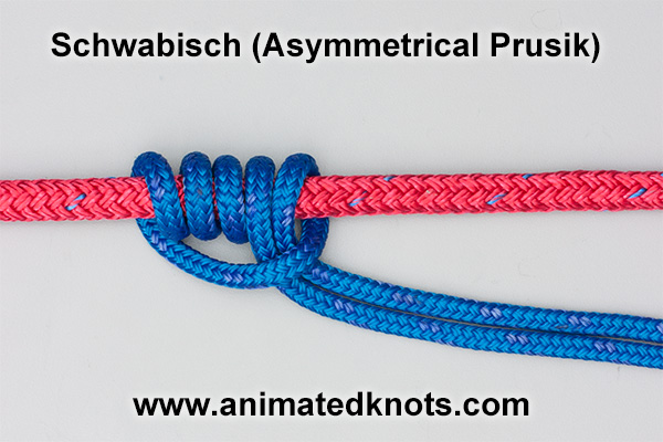 Pictures of The Schwabisch Knot
