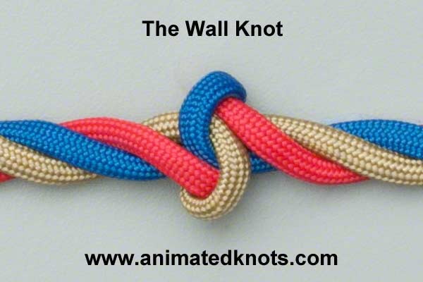 Pictures of The Wall Knot