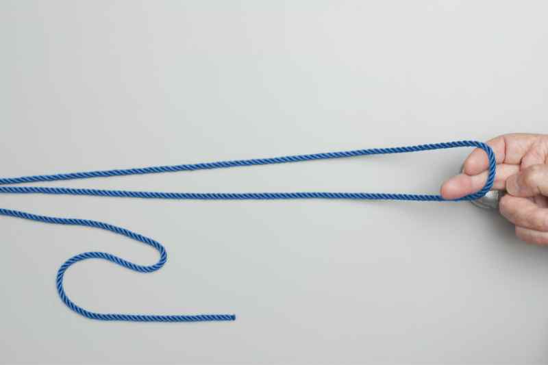 How to Tie a Bimini Twist Knot? Steps, Variations, Video & Uses