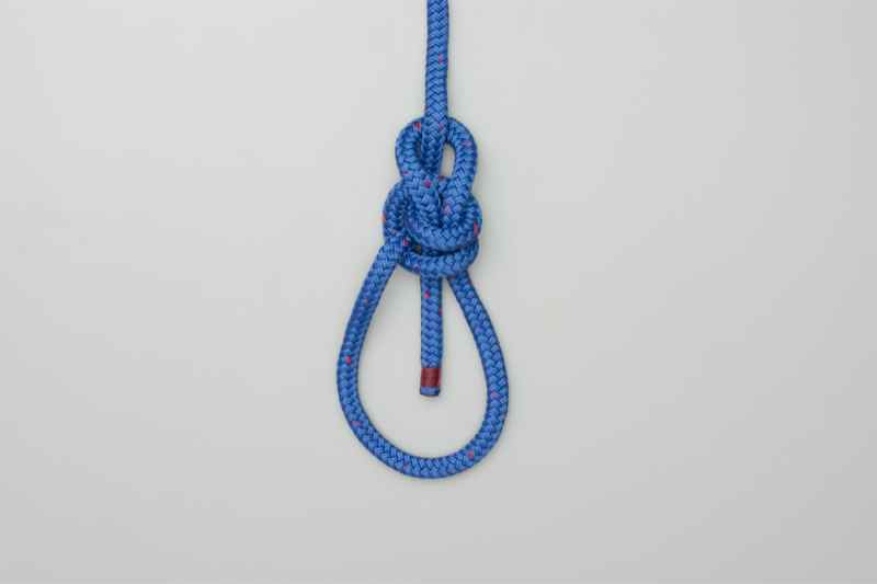 Water Bowline Knot, Step-by-Step Animation