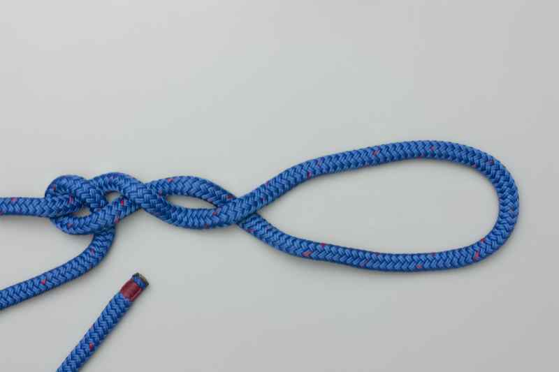 Single Rope Decorative Knots Shelly Lighting