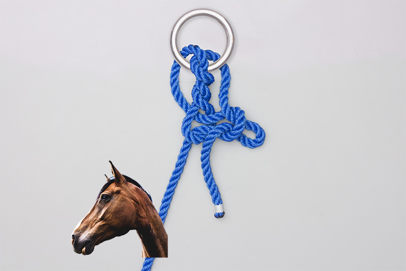 Ring Hitch How to tie a Ring Hitch using StepbyStep Animations Animated Knots by Grog