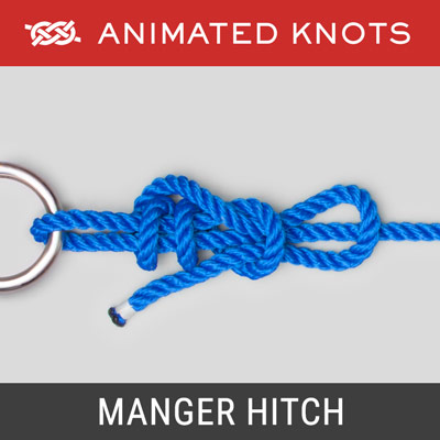 Manger Hitch - quick-release knot to secure a cow to a fence