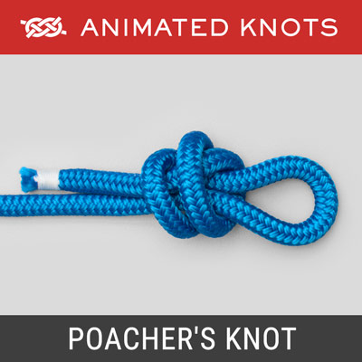 End Loop Knots, Learn How to Tie End Loop Knots using Step-by-Step  Animations