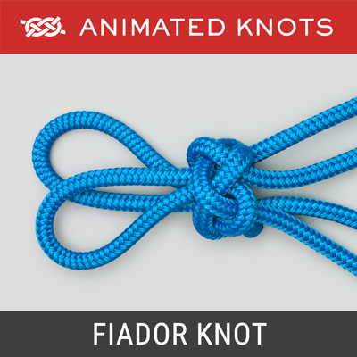 Fiador Knot - keeps the hackamore on the horse’s head