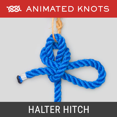 Halter Hitch - Quick release knot to secure a horse