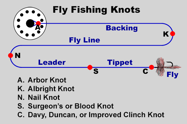 Line-to-Line Knots BLOOD KNOT braided, monofilament, core fly